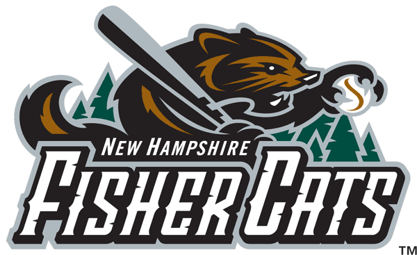 New Hampshire Fisher Cats 2004-2007 Primary Logo iron on transfers for clothing
